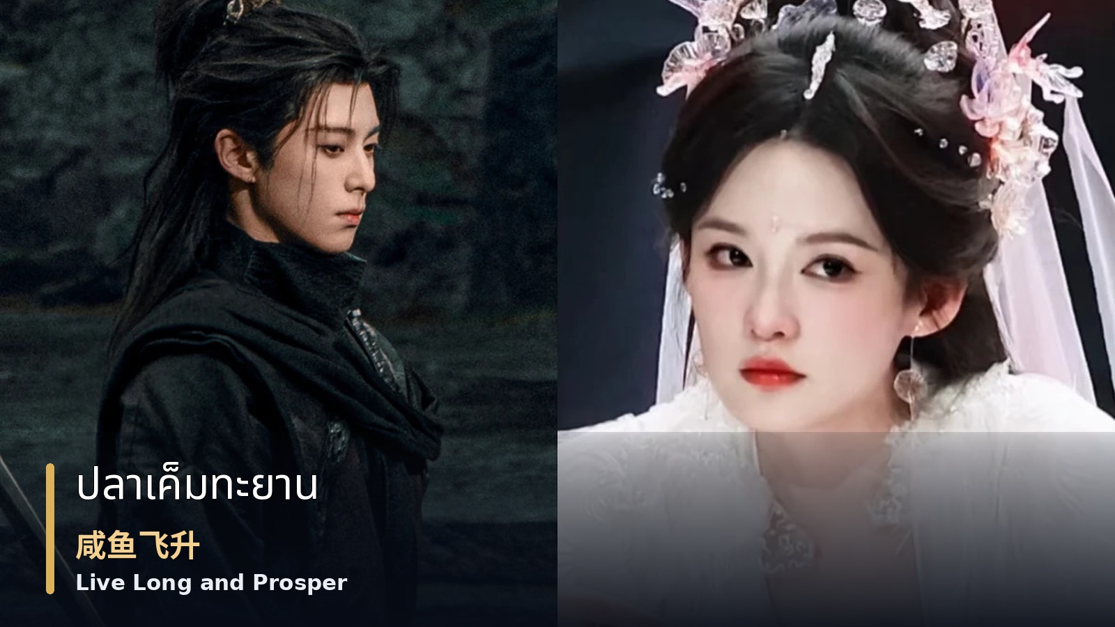 Live Long and Prosper — ภาพปกซีรีส์ Live Long and Prosper แสดงหวังเฮ่อตี้และหลี่ฉินในชุดจีนโบราณ พร้อมชื่อเรื่อง “ปลาเค็มทะยาน”, “咸鱼飞升” และ “Live Long and Prosper”