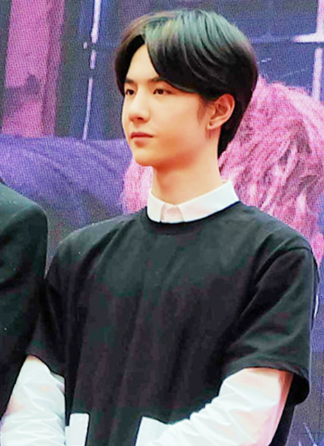 หวังอี้ป๋อในงานแฟนไซน์ที่เซี่ยงไฮ้ วันที่ 21 มิถุนายน 2015